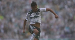 parana palmeiras