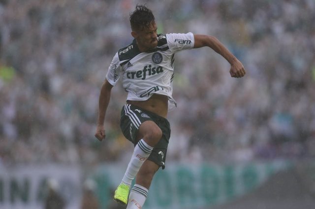 parana palmeiras