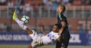santos chapecoense