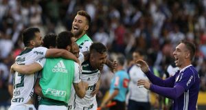 vasco palmeiras