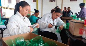 Gigante árvore de Natal feita com garrafas pet será inaugurada nesta quinta ARVORE NATAL 2