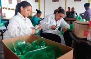 Gigante árvore de Natal feita com garrafas pet será inaugurada nesta quinta ARVORE NATAL 2