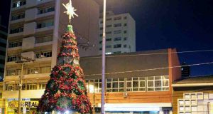 Arvore de Natal 62