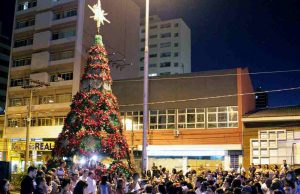 Árvore com garrafas pet foi o que salvou a decoração natalina deste ano Arvore de Natal 62