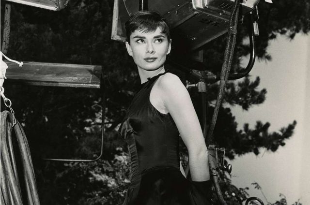 Audrey 84