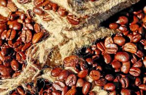 Atenção: 60% das espécies de café estão em risco de extinção Cafe 87