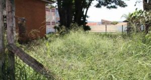 Antigo hospital psiquiátrico está em situação de abandono Hospital Psiquiatrico 86