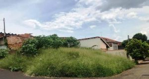 Em 10 dias os terrenos que não estiverem limpos serão autuados Rua dos Libaneses, 85