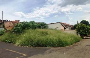 Em 10 dias os terrenos que não estiverem limpos serão autuados Rua dos Libaneses, 85