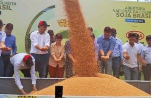 Seguro rural deverá ser ampliado, afirma Tereza Cristina Tereza Cristina 89