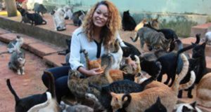 Thainara propõe a Edinho desconto no IPTU para quem adotar cães e gatos Thainara 84