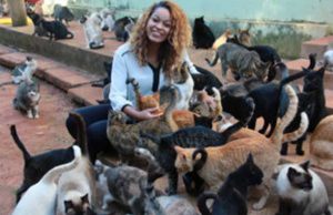 Thainara propõe a Edinho desconto no IPTU para quem adotar cães e gatos Thainara 84