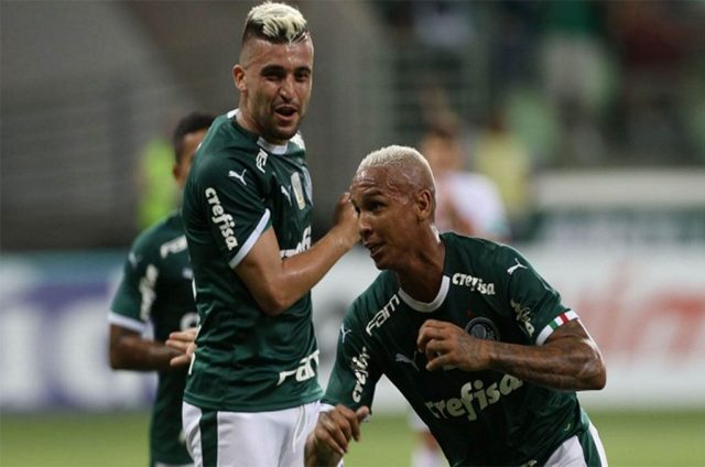 palmeiras botafogo sp