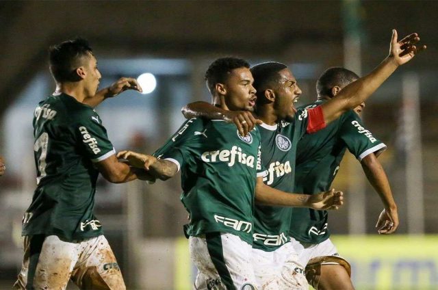 palmeiras xv