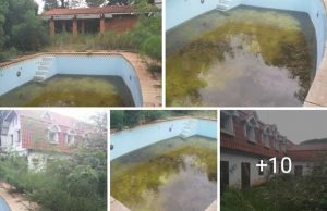 Marcelo Barbieri não é proprietário deste imóvel que foi vendido há dois anos pela família Barbieri 99