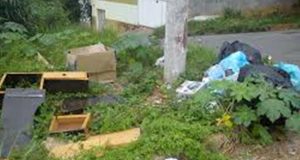 Prefeitura segue com arrastões para combater dengue na cidade Dengue 92