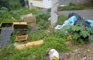 Prefeitura segue com arrastões para combater dengue na cidade Dengue 92