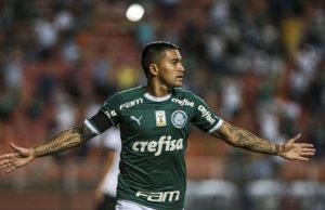 Palmeiras 95