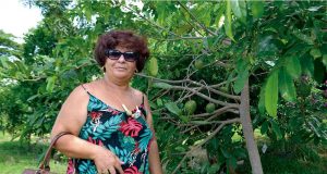 O pomar de um bairro, cuidado pelo espírito de cidadania Pomar 94