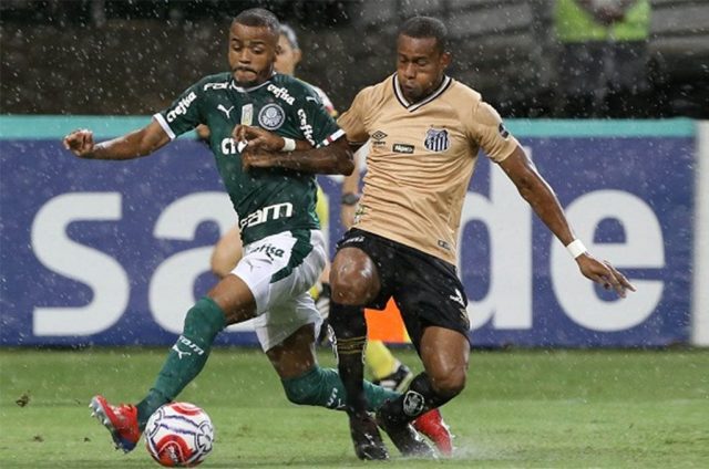 palmeiras santos paulistao