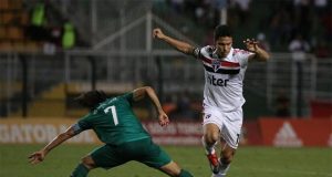 sao paulo guarani paulistao