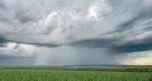 Cana Chuva 109