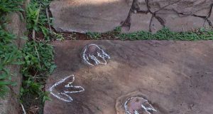 Parque Infantil abriga dezenas de pegadas de dinossauros Dinossauros pegadas