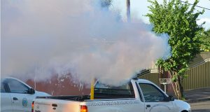 Vigilância realiza fumacê nesta manhã de terça-feira (12) Fumace da terca