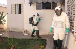 Larvicida dengue