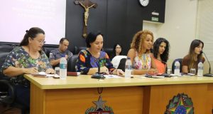 Câmara Municipal discute combate à violência sexual contra meninas e mulheres de Araraquara Violencia 85