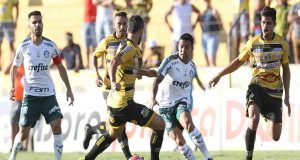 Novorizontino e Palmeiras empatam pelo Paulistão novorizontino palmeiras