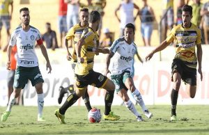 novorizontino palmeiras