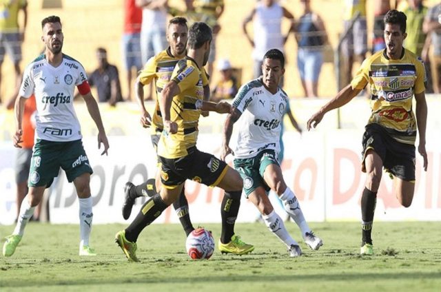 novorizontino palmeiras novorizontino palmeiras