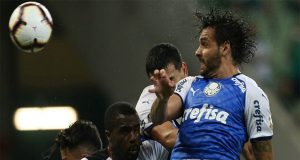 palmeiras melgar