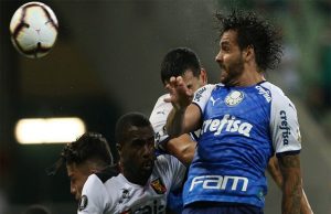 palmeiras melgar