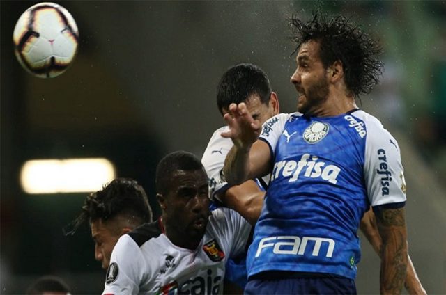 palmeiras melgar palmeiras melgar