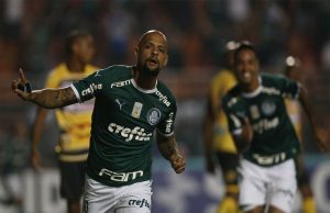 palmeiras novorizontino jogo