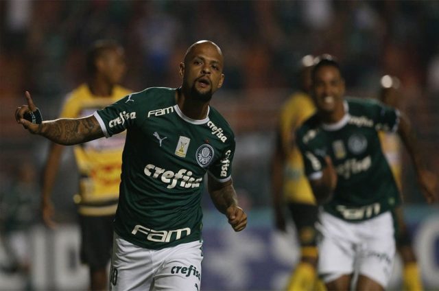 palmeiras novorizontino jogo