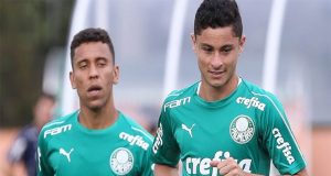 Verdão e Novorizontino decidem vaga à semi do Paulistão palmeiras novorizontino pre jogo