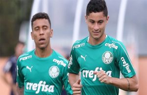 palmeiras novorizontino pre jogo