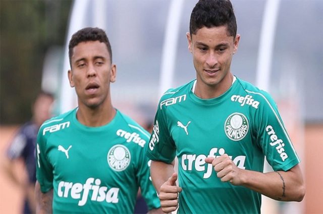 palmeiras novorizontino pre jogo