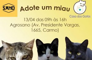 Gatos 90