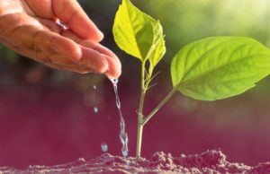 Min Agri 2019