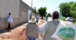 Numeros novos dengue