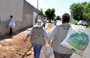 Numeros novos dengue