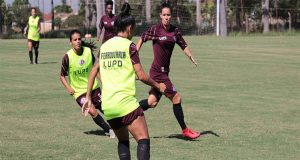 Guerreiras recebem o Foz pelo Brasileiro Feminino guerreiras foz