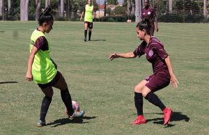 guerreiras palmeiras