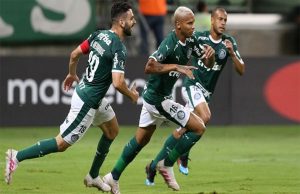 palmeiras junior