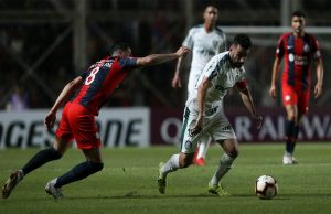 san lorenzo palmeiras