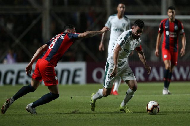 san lorenzo palmeiras